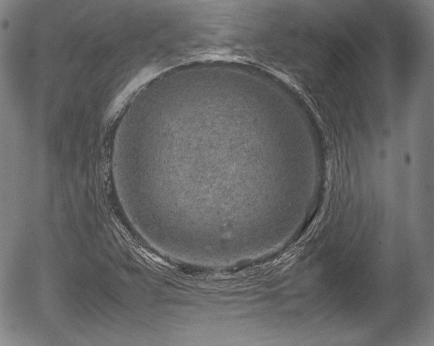 X0000054451359200508011418