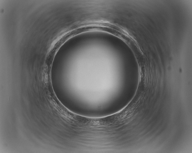 X0000054451360200508011418