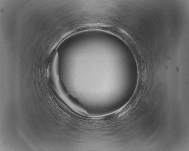 X0000054451361200508011418