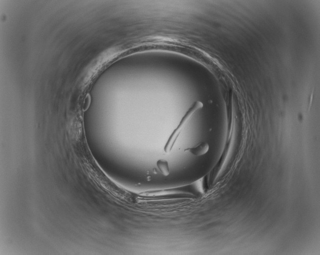 X0000054451363200508011418