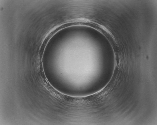 X0000054451364200508011418