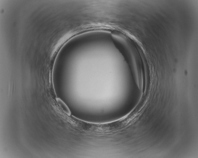 X0000054451365200508011418