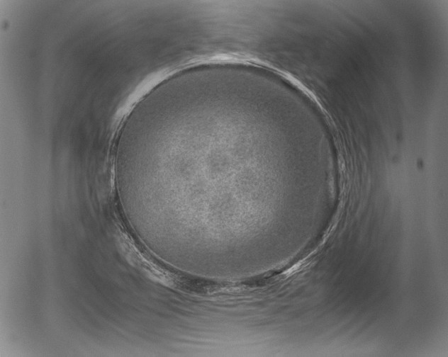 X0000054451367200508011418