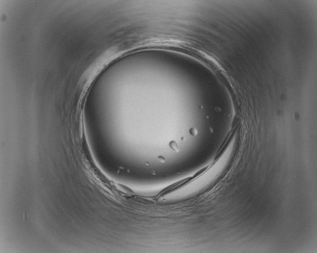 X0000054451371200508011418
