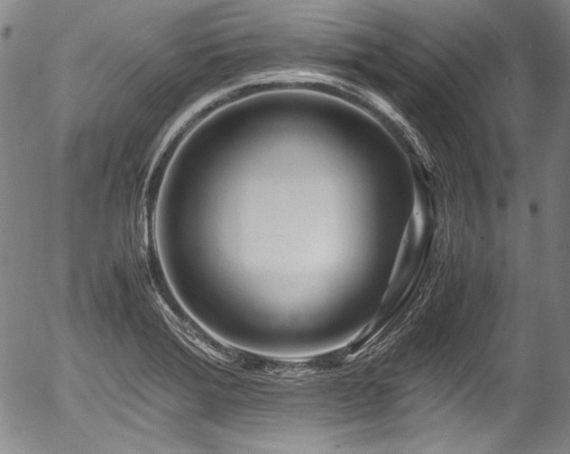 X0000054451372200508011418