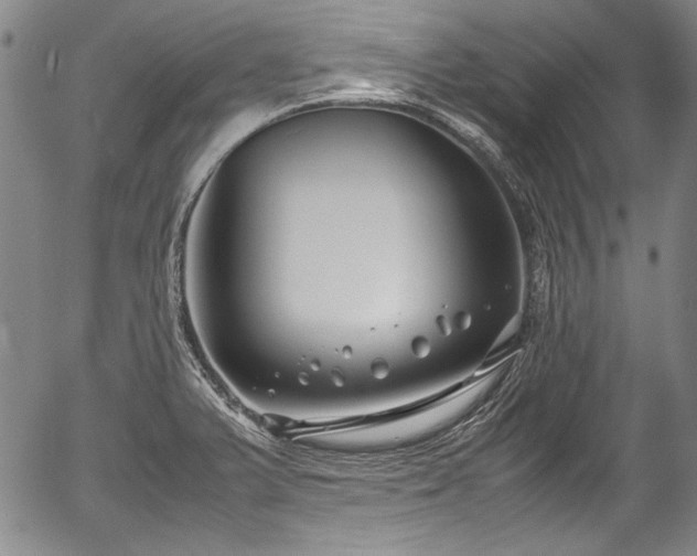 X0000054451375200508011418