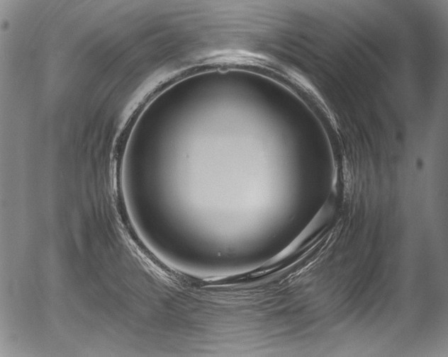 X0000054451376200508011418