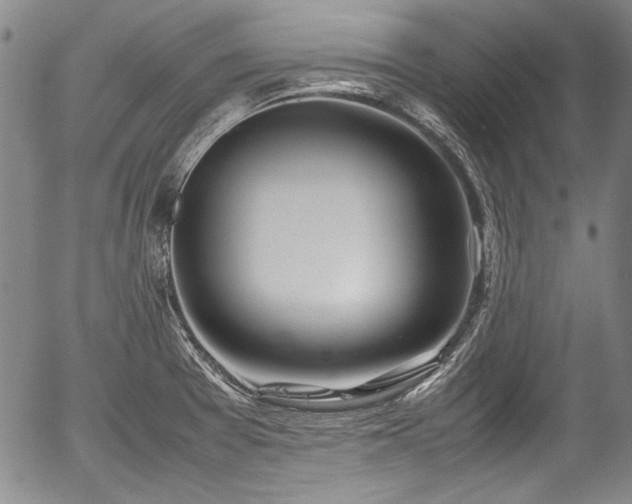 X0000054451377200508011418