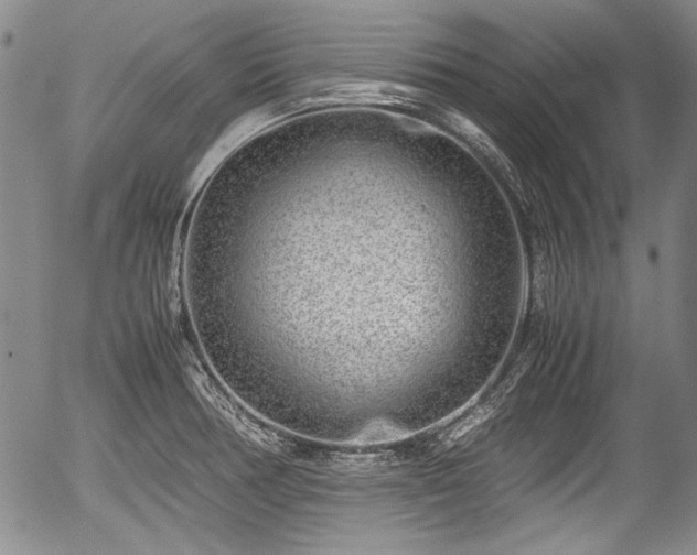 X0000054451378200508011418