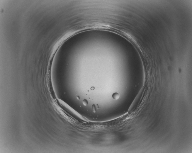 X0000054451379200508011418