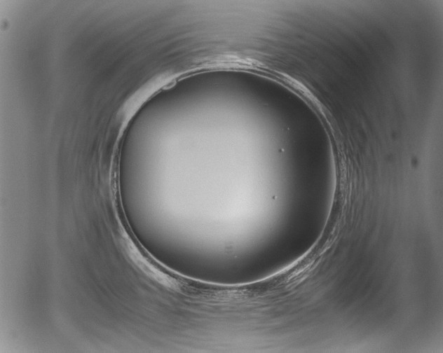 X0000054451387200508011418