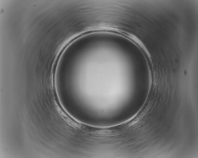X0000054451388200508011418