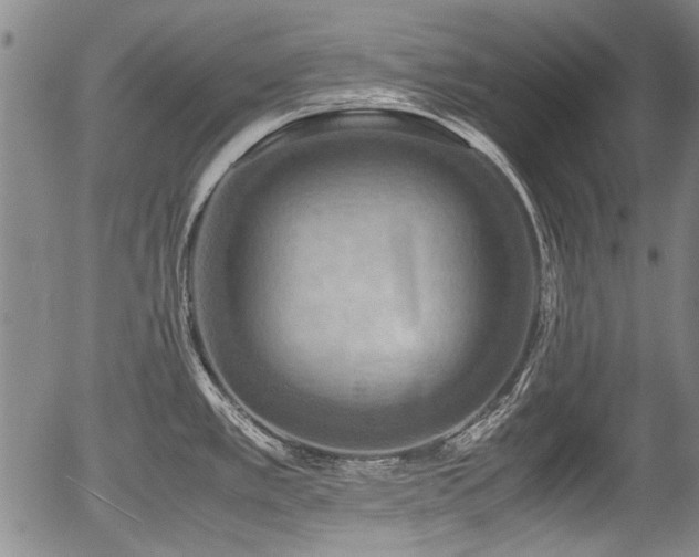 X0000054451389200508011418
