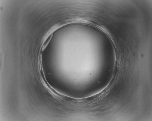 X0000054451391200508011418
