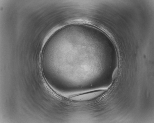 X0000054451392200508011417