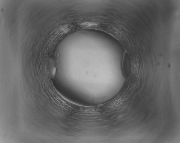 X0000054451393200508011417