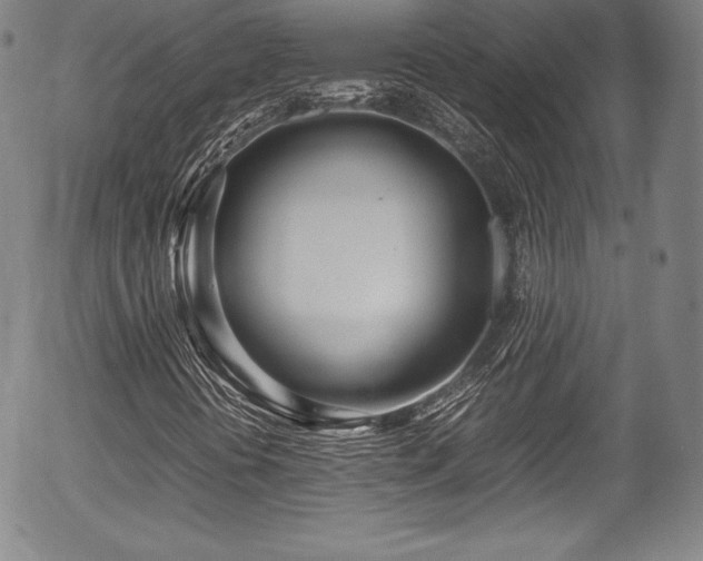 X0000054451394200508011417