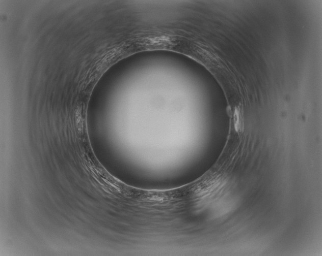 X0000054451395200508011417