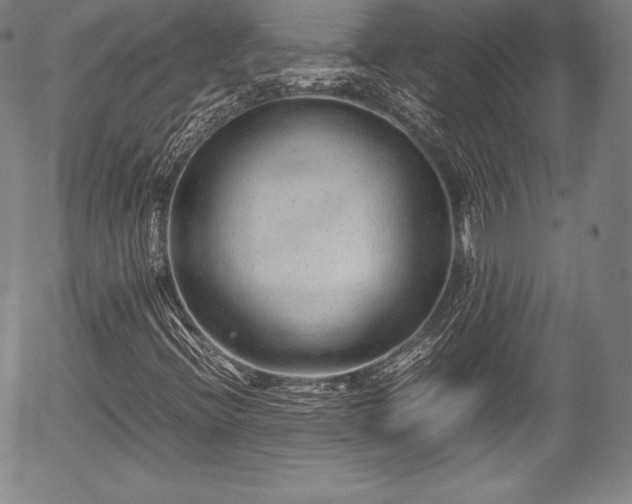 X0000054451396200508011417