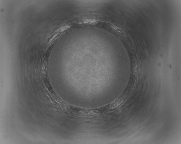 X0000054451397200508011417