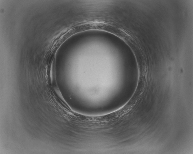 X0000054451398200508011417