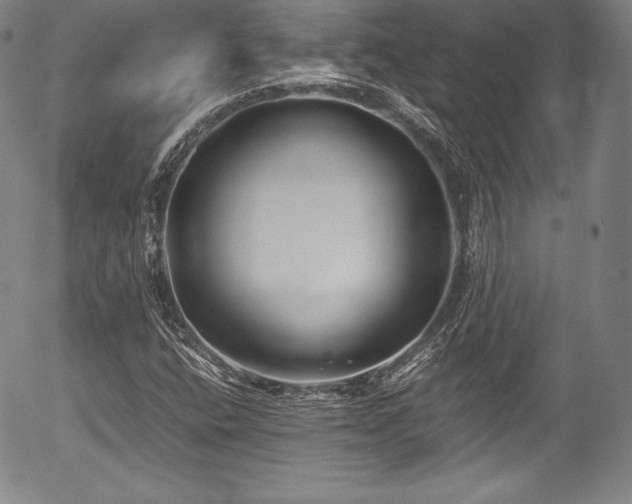 X0000054451400200508011417