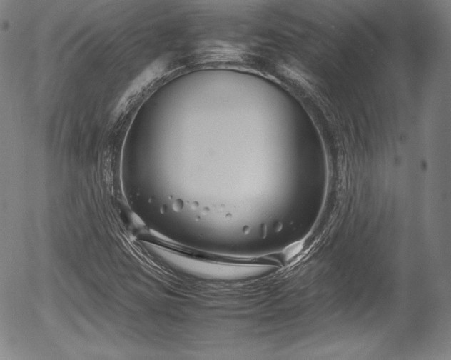 X0000054451403200508011417