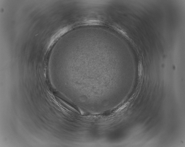 X0000054451405200508011417