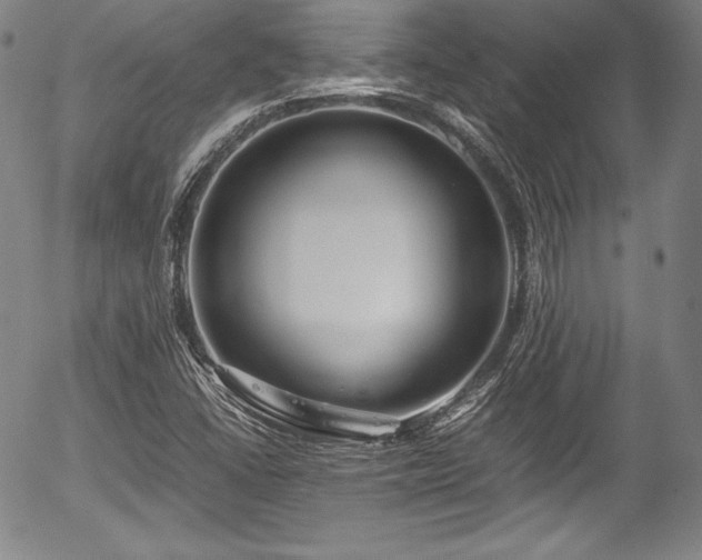 X0000054451406200508011417