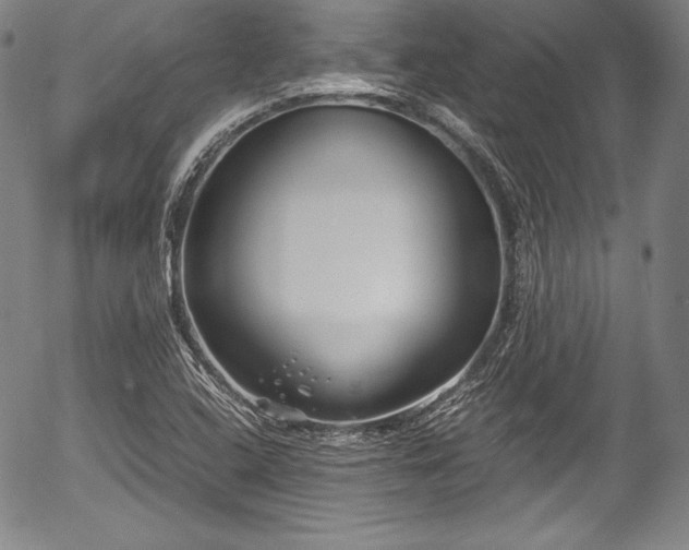 X0000054451408200508011417