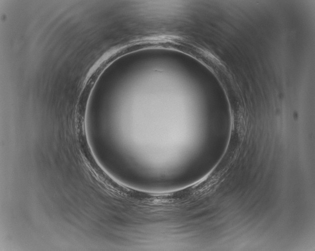 X0000054451412200508011417