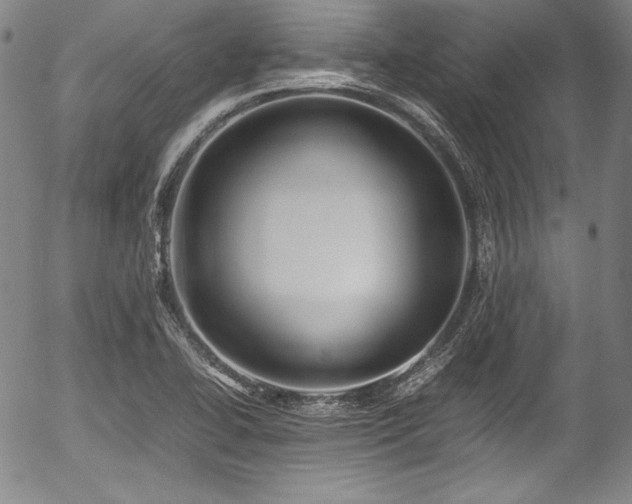 X0000054451414200508011417