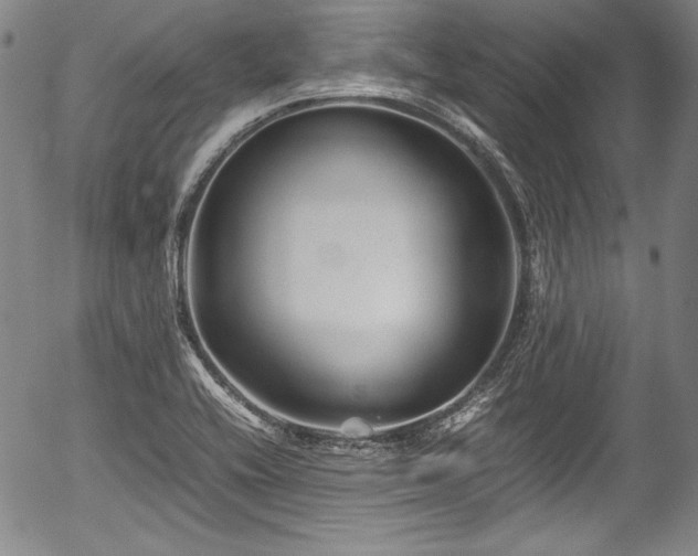 X0000054451416200508011417