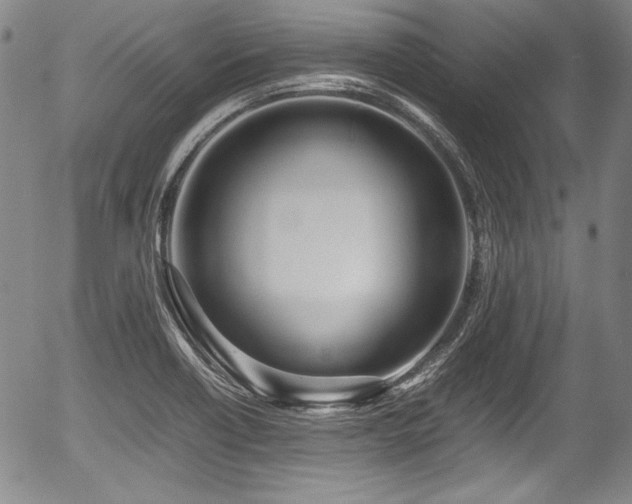 X0000054451418200508011417