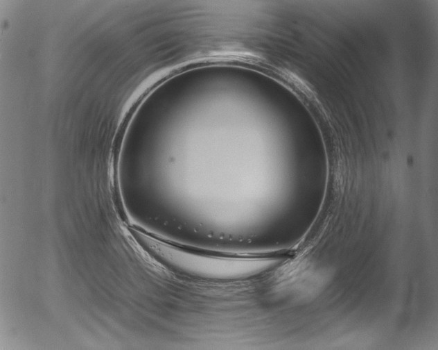 X0000054451420200508011417