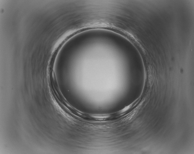 X0000054451422200508011417