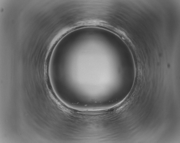 X0000054451424200508011417