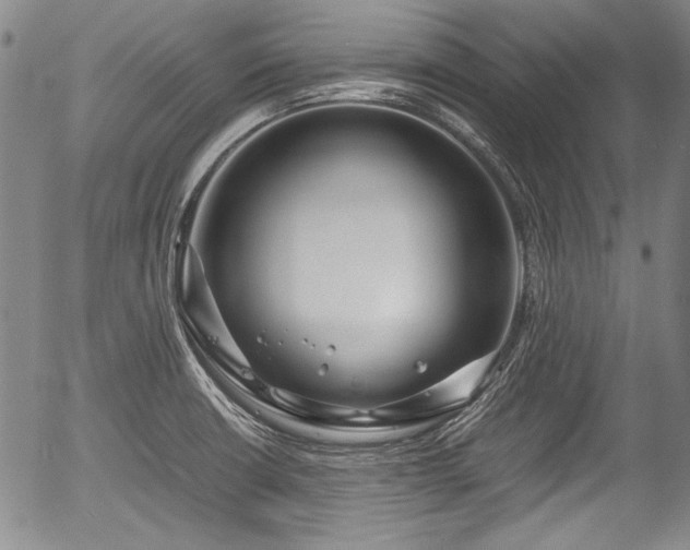 X0000054451426200508011417