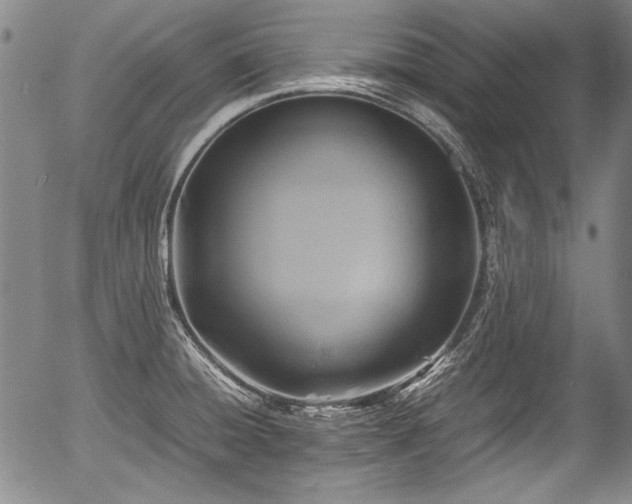X0000054451428200508011417