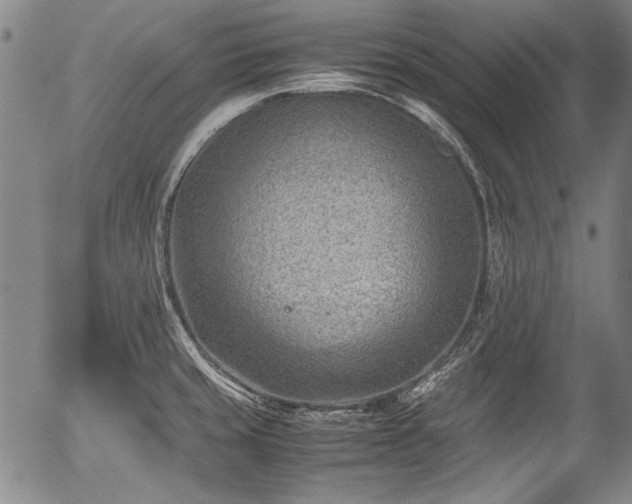 X0000054451429200508011417