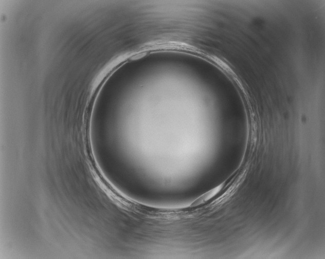 X0000054451438200508011417