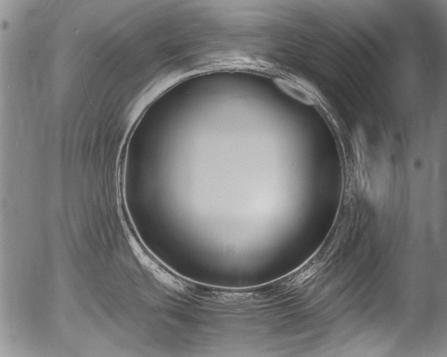 X0000054451439200508011417