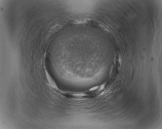 X0000054451441200508011417