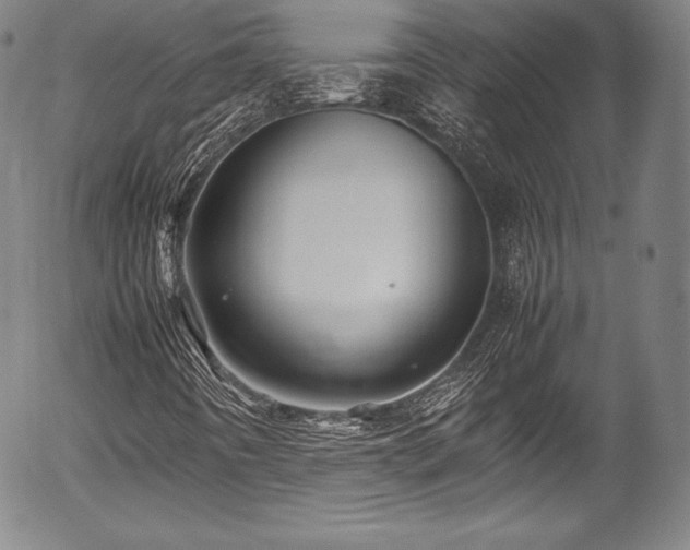 X0000054451442200508011417