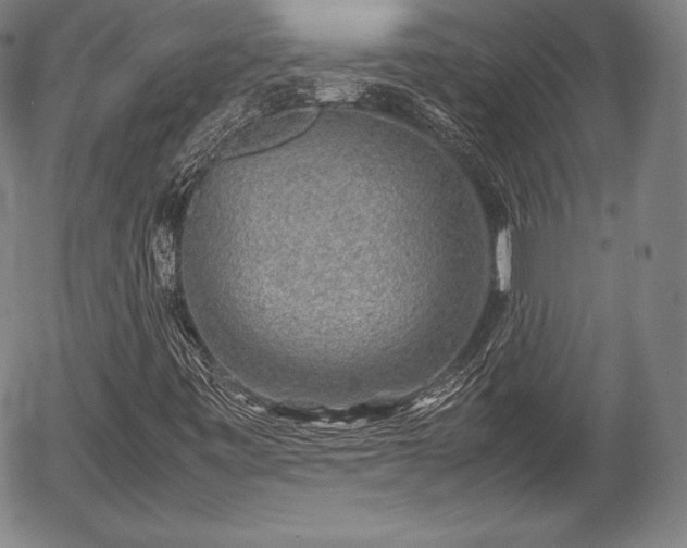 X0000054451443200508011417
