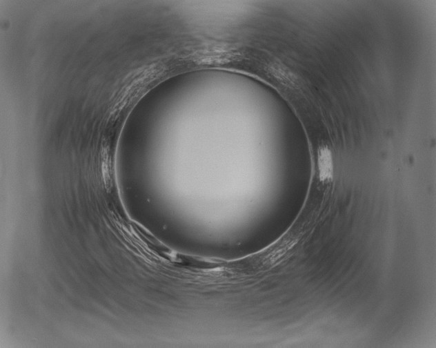 X0000054451444200508011417