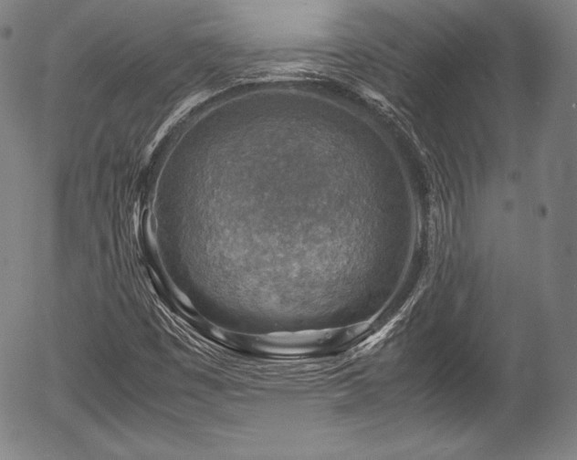 X0000054451449200508011417