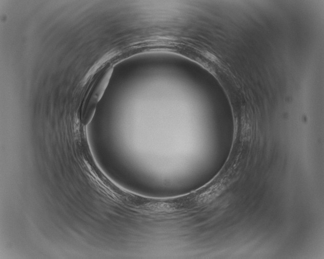 X0000054451450200508011417