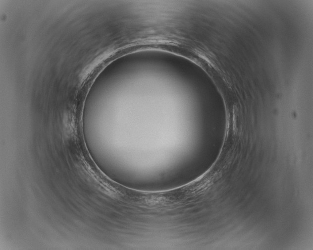 X0000054451452200508011416