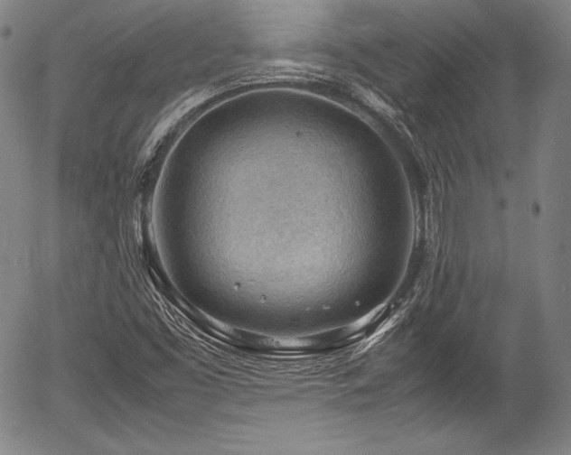 X0000054451453200508011416